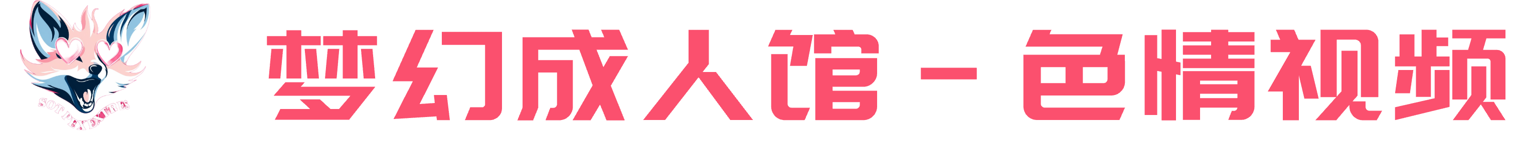 视频网站